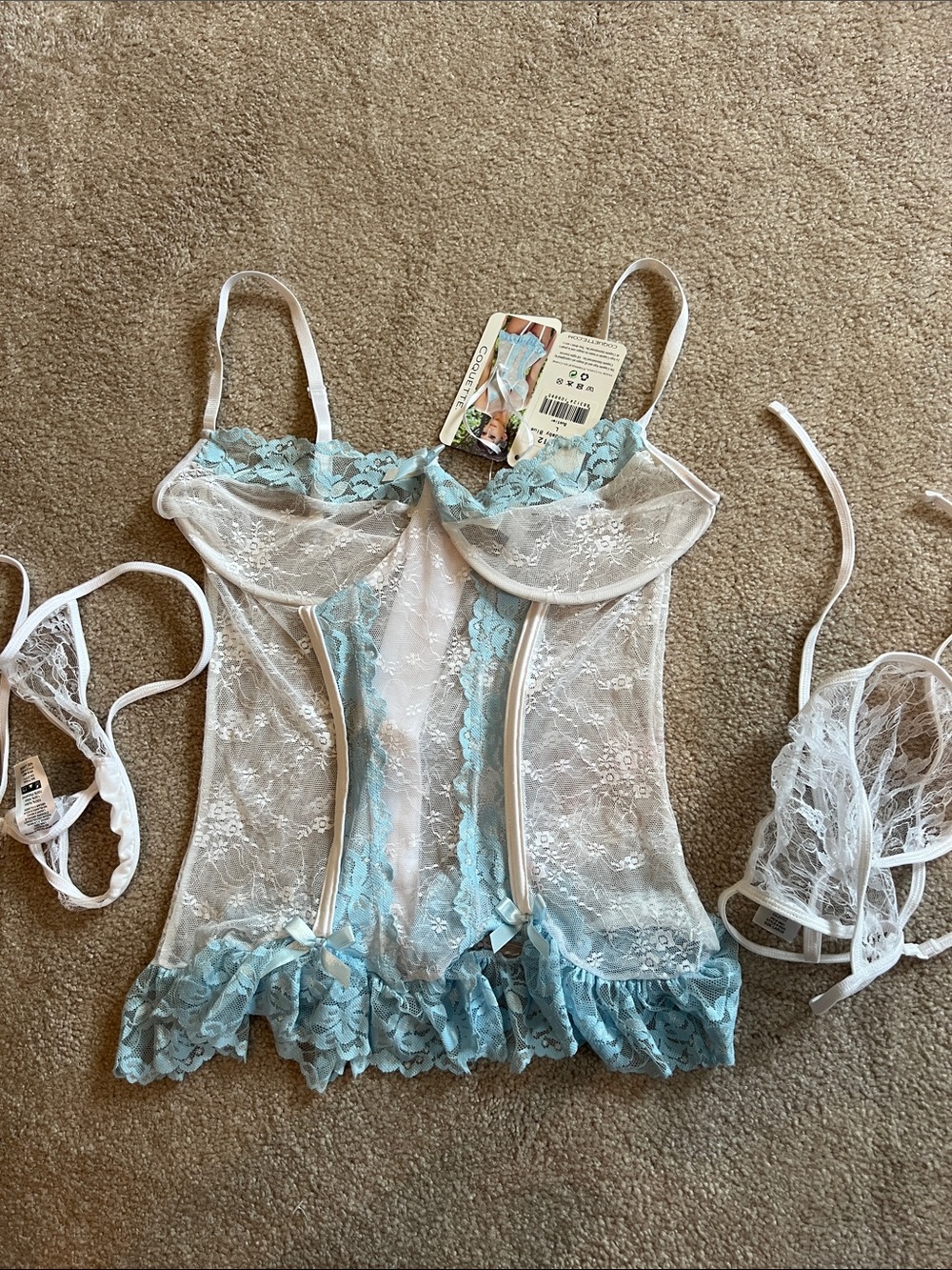 Sheer Lace Chemise with Blue Floral Trim